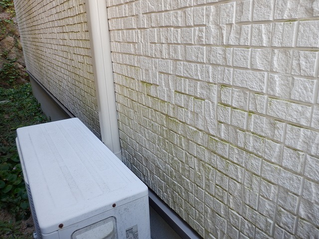 壁体内結露と外壁面の藻類発生との因果関係