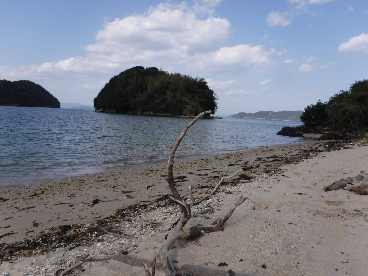 今年二回目の周防大島にて