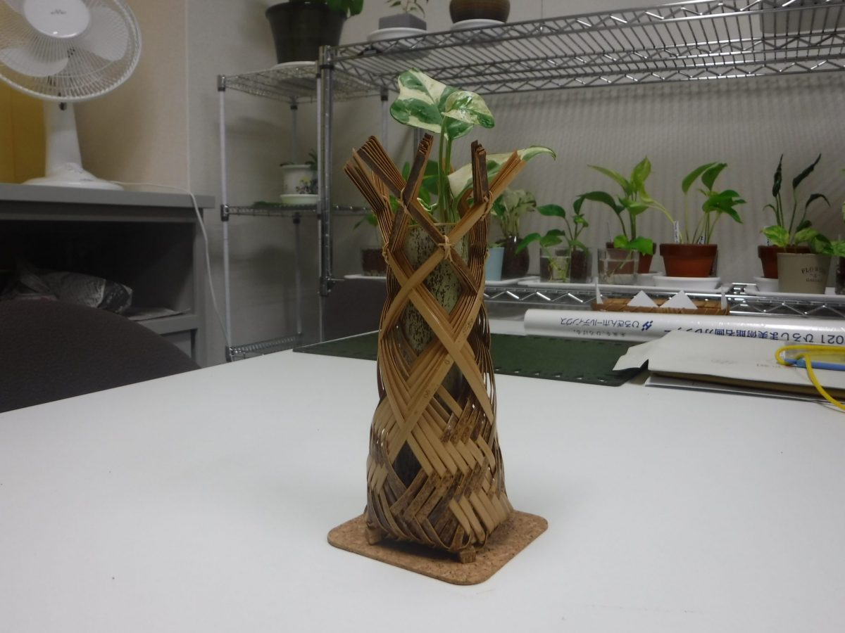 ポトス「エンジョイ」を竹細工の花瓶に生けました！