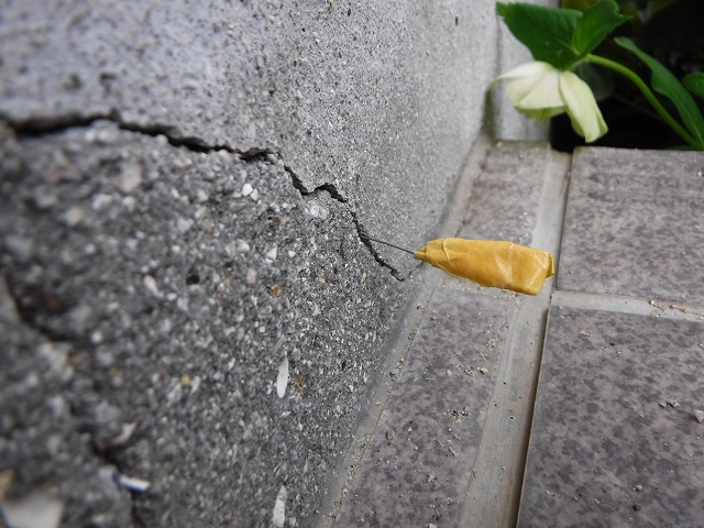 既存住宅瑕疵保険が付保される住宅だから安心なのか?