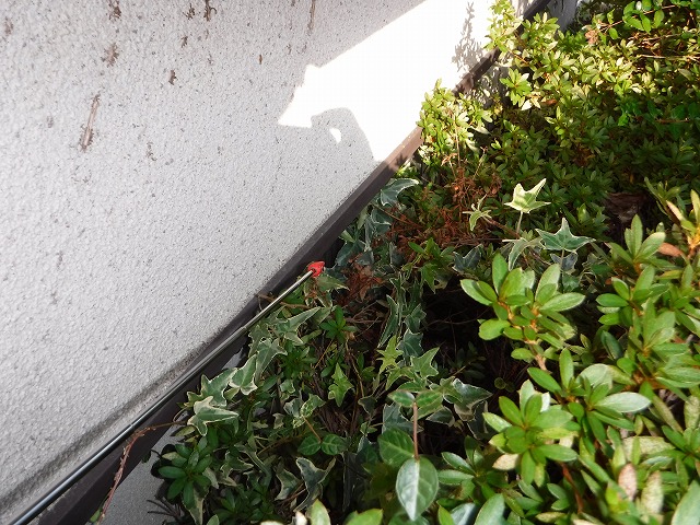 自宅の廻りを偶には自分で点検しませんか?