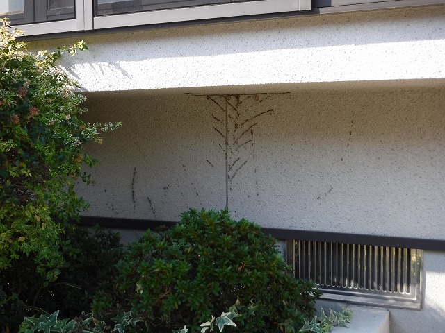 建物の近くの植栽には要注意ですよ!