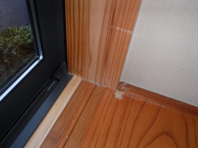 和室出窓に虫が食った跡を確認
