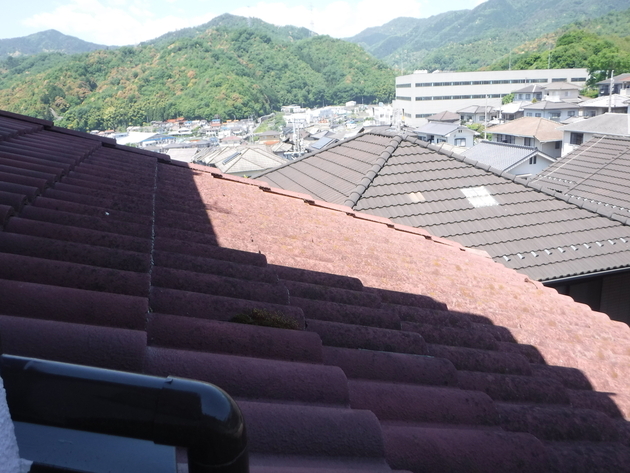 1階屋根に苔が発生している