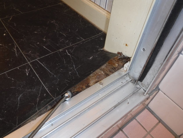 浴室入口床廻りにシロアリの被害