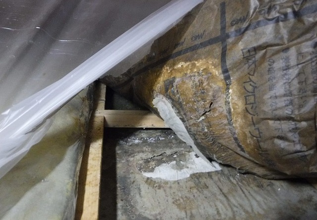 梅雨に入る前に屋根裏をチェックしませんか?
