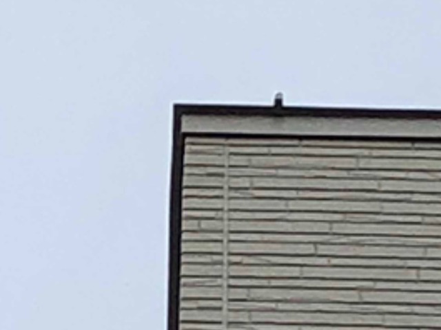 何の為に住宅診断を依頼するのですか?