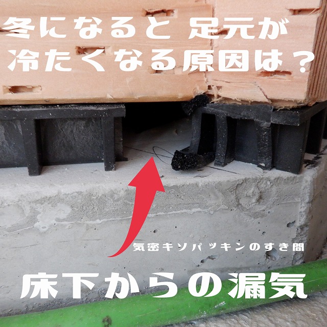 インスタグラムを始めました!