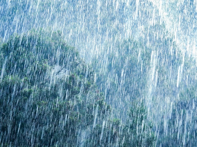 室内の雨漏りや湿気対策として！